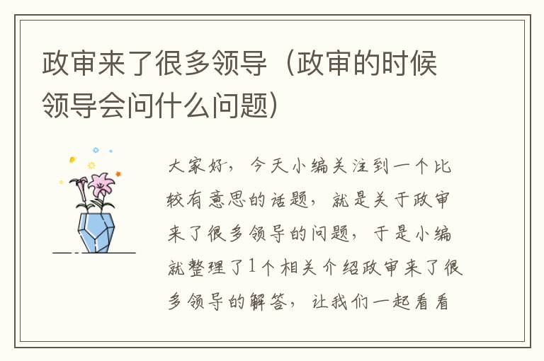政审来了很多领导(政审的时候领导会问什么问题)