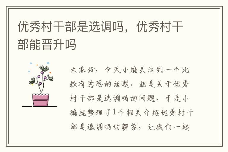 优秀村干部是选调吗,优秀村干部能晋升吗
